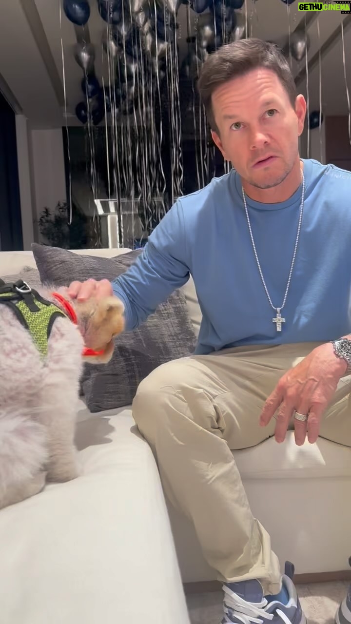 Mark Wahlberg Instagram - Champ loves the drip🔥🐶 @municipal after all he has his own shirts📈🐶💯🥳 #MunicipalPartner