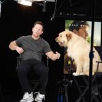 Mark Wahlberg Instagram - Powerful true story @arthurthekingmovie only in theaters March 15th 🐶👍❤️