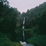Markella Kavenagh Instagram - on my mind Aotearoa