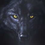 Markus Perez Instagram - WOLF EYES...I AM HUNGRY!!! 🐺 @acaifrutabrasileiraoficial @alexdavismma @mickmaynard2 W Abu Dhabi – Yas Island