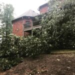 Marlon Jackson Instagram - Hello everyone, I do apologize for the delay in posting picture. I've been traveling out of the country. Upon my return I got sick for a couple of weeks. Then hurricane Irma decided to show us her love by dropping a tree on the back of the house from the winds of the tropical storm that came our way, everyone is ok. Let's continue to pray for all the victims of the hurricanes and for the people in Mexico (earthquake). As Carol and I say. #bekind carol jackson #studypeace marlon jackson
