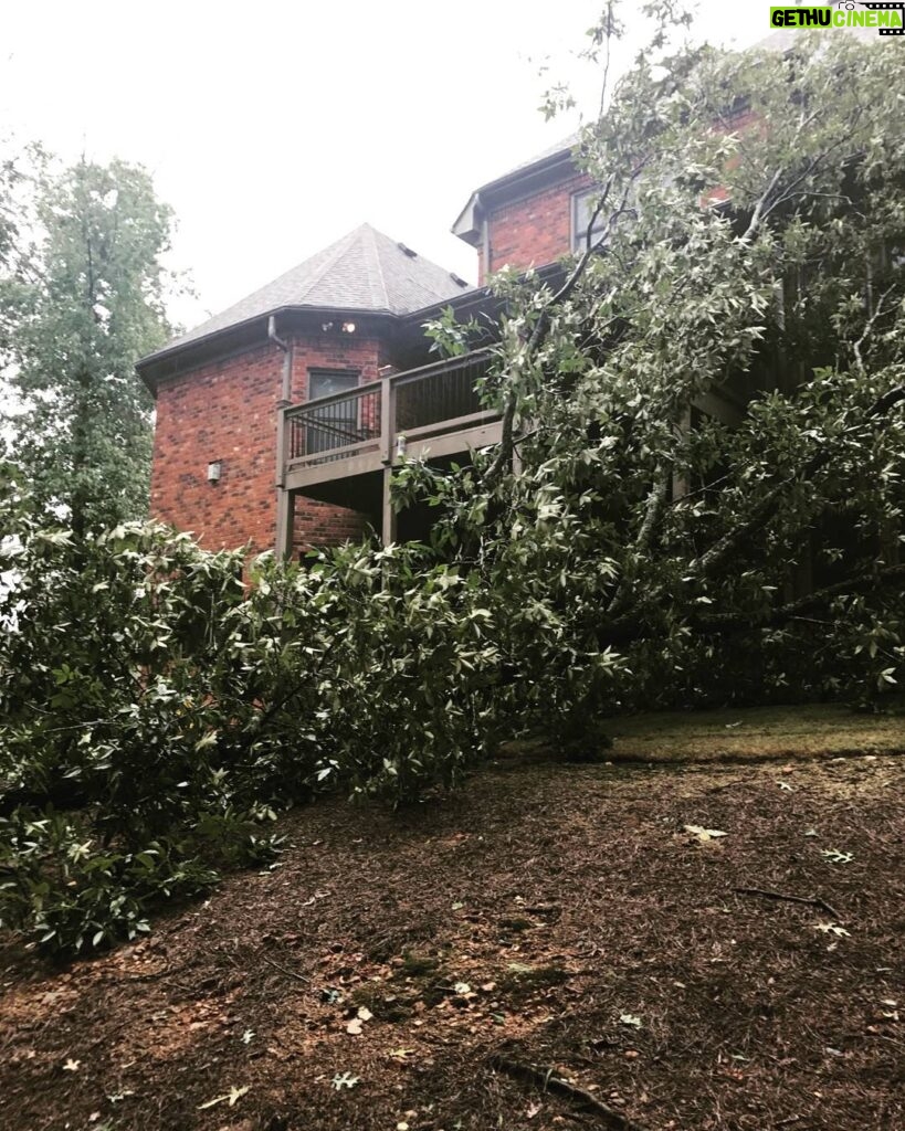 Marlon Jackson Instagram - Hello everyone, I do apologize for the delay in posting picture. I've been traveling out of the country. Upon my return I got sick for a couple of weeks. Then hurricane Irma decided to show us her love by dropping a tree on the back of the house from the winds of the tropical storm that came our way, everyone is ok. Let's continue to pray for all the victims of the hurricanes and for the people in Mexico (earthquake). As Carol and I say. #bekind carol jackson #studypeace marlon jackson
