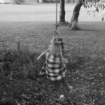 Matilde Wagner Instagram - De første 5 måneder på marken 🥺 Oure Efterskole