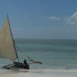 Matilde Wagner Instagram - Zanzi🪼🐡🪸🌟🌟 Zanzibar, Tanzania