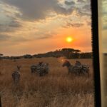 Matilde Wagner Instagram - 🦛🌙🛖 🔖Tanzania Serengeti, Tanzania