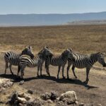 Matilde Wagner Instagram - 🦛🌙🛖 🔖Tanzania Serengeti, Tanzania
