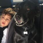 Matt Cedeño Instagram – Heavy hearted as we said goodbye to our dear Mika yesterday. She had the purest soul, she will be missed. Fly high Mika