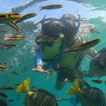 Matt Cedeño Instagram – Had a few epic snorkeling adventures with my main man…he was reaching 12 ft deep on our 2nd outing!💪🏽 #jcruz #cabo #chilenobay Chileno Bay Golf & Ocean Club