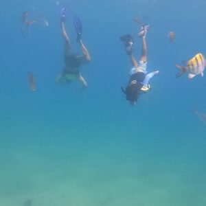 Matt Cedeño Instagram - Had a few epic snorkeling adventures with my main man…he was reaching 12 ft deep on our 2nd outing!💪🏽 #jcruz #cabo #chilenobay