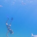 Matt Cedeño Instagram - Had a few epic snorkeling adventures with my main man…he was reaching 12 ft deep on our 2nd outing!💪🏽 #jcruz #cabo #chilenobay Chileno Bay Golf & Ocean Club