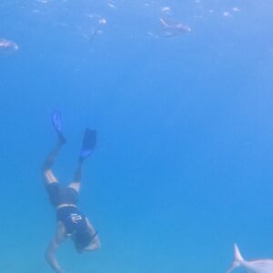 Matt Cedeño Instagram - Had a few epic snorkeling adventures with my main man…he was reaching 12 ft deep on our 2nd outing!💪🏽 #jcruz #cabo #chilenobay