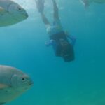 Matt Cedeño Instagram - Had a few epic snorkeling adventures with my main man…he was reaching 12 ft deep on our 2nd outing!💪🏽 #jcruz #cabo #chilenobay Chileno Bay Golf & Ocean Club