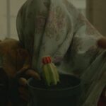 Mayra Hermosillo Instagram - Por favor, dense el tiempo de leer los créditos de las películas. Chingos de personas están involucradas y se fletan para que, sobretodo los cortometrajes, se hagan. Creer, divertirse y crear. ¡GRACIAS!