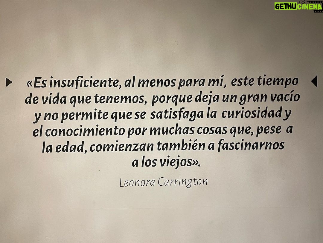 Mayra Hermosillo Instagram - ¡Jugar, jugar, jugar! Paloma Petra, estás aquí con nosotras. LAS AMO❤️