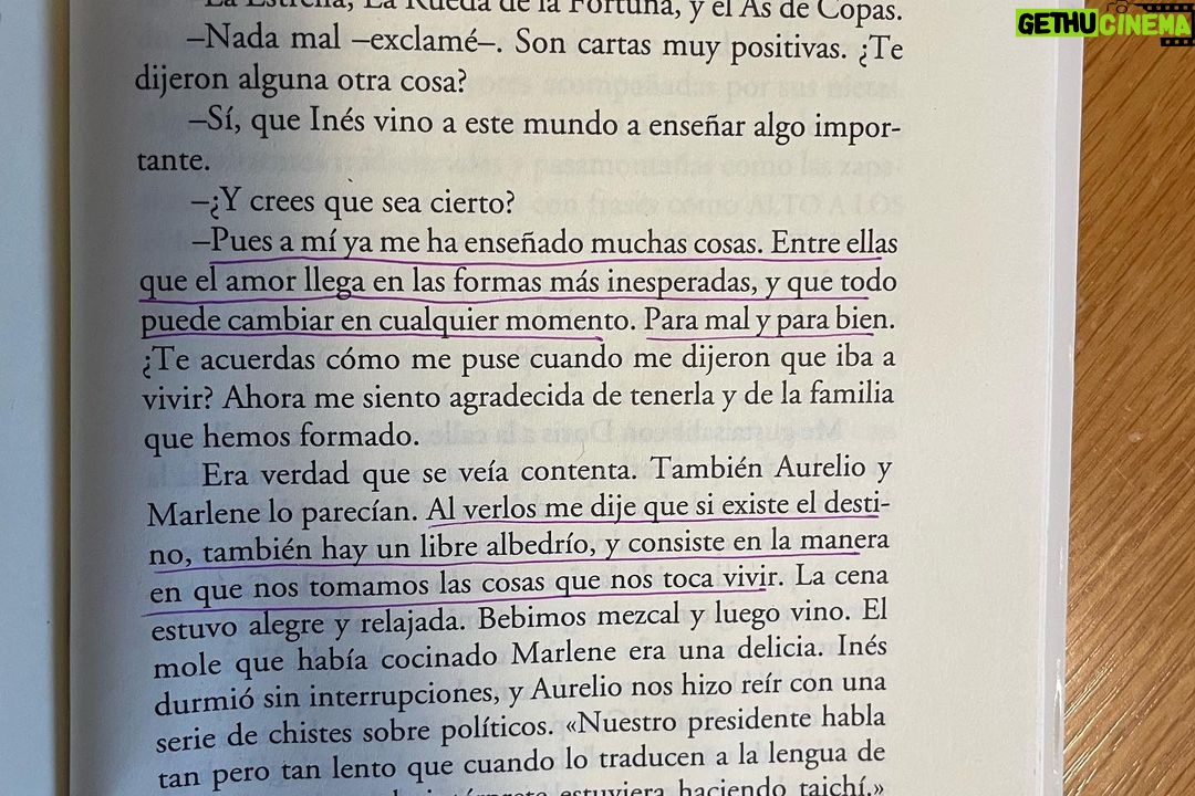 Mayra Hermosillo Instagram - Un ratito de calma. Primero ansiosa porque algo pase y cuando pasa me vuelve la ansiedad. #temitaquetratarenterapia