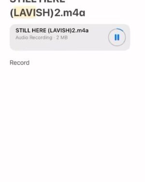 Meek Mill Instagram - Why can’t I just drop the songs on instagram and tik tok with the picture art like this!!📲 SECOND SLIDE a snippet ✨✨✨✨✨✨✨✨✨✨✨✨✨✨