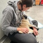 Megan Ganz Instagram - Many thanks to @veterinary_emergency_group in Santa Monica for attending to our sweetling gumpus who gave us a bit of a fright last night. The doctors and nurses there were so comforting to us and our fat friend, going so far as to show her the movie ELF when she got sad in the middle of the night. Hooray for vets. They’re keeping best friends together!