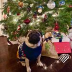 Megan Ganz Instagram – It’s tragic how much I love this dog. To bursting! 🥰