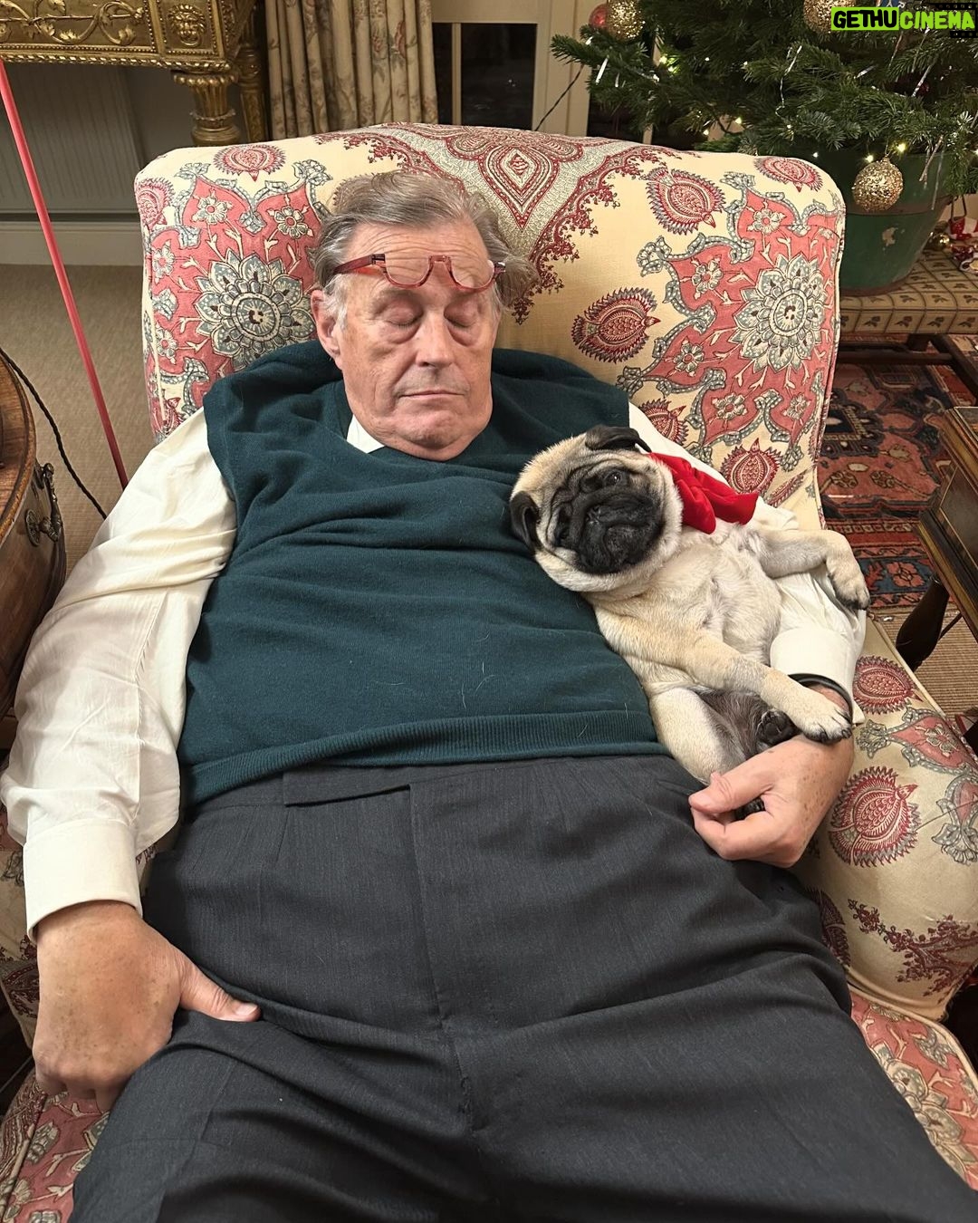Megan Ganz Instagram - Hoping your holidays are as comfy and cozy as my father in law and our snoozly pug. Merry Christmas, everyone!