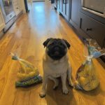 Megan Ganz Instagram - Three fat sacks of potatoes. 🥔 🥔 🥔