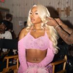 Megan Thee Stallion Instagram – I been told yall im Thee Black Regina George 💁🏽‍♀️🔥 @meangirls