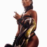 Megan Thee Stallion Instagram - 🐍🐍🐍