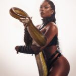Megan Thee Stallion Instagram - 🐍🐍🐍