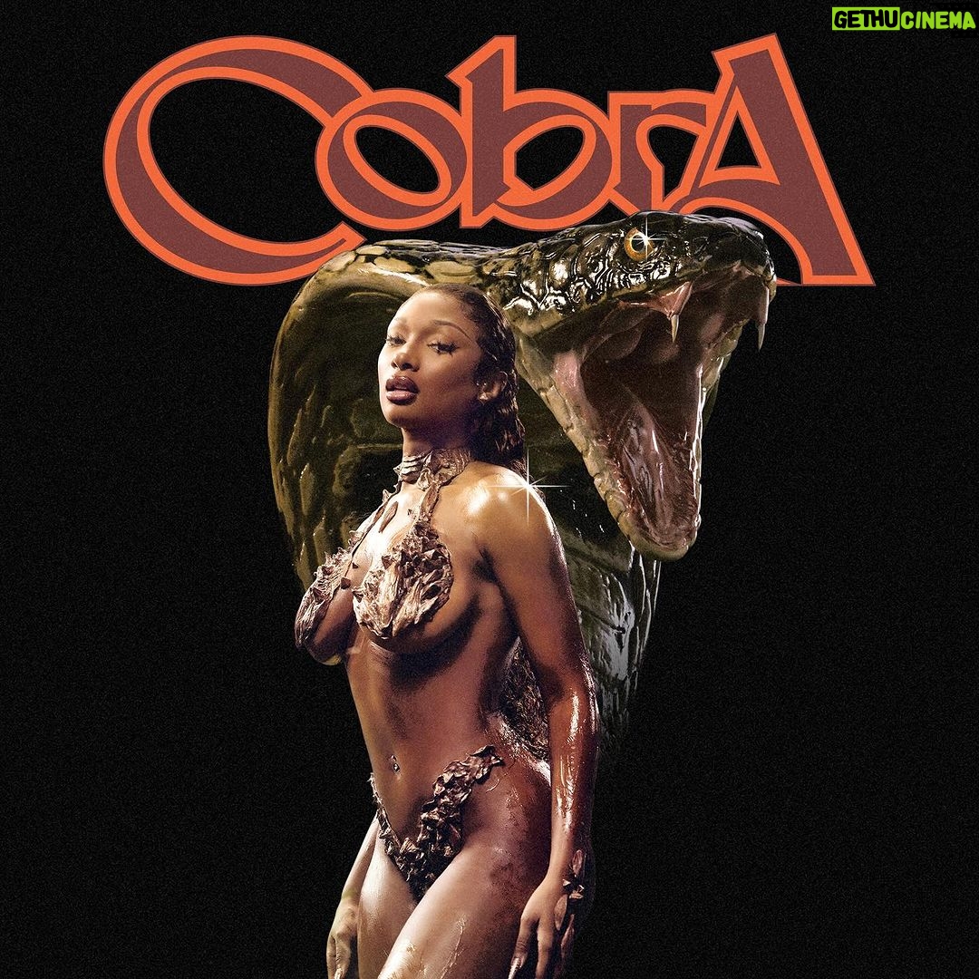 Megan Thee Stallion Instagram - 🐍🐍COBRA THIS FRIDAY🐍🐍