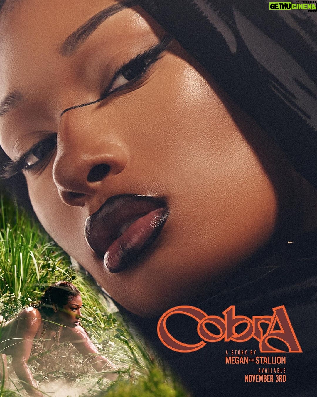 Megan Thee Stallion Instagram - COBRA 11/3 🐍🐍🐍 A HOT GIRL PRODUCTION !!! PRE SAVE NOW HOTTIES