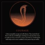 Megan Thee Stallion Instagram - 🐍🐍COBRA THIS FRIDAY🐍🐍