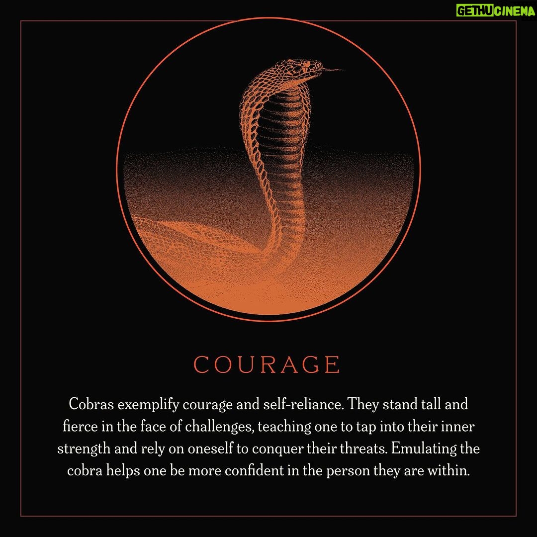 Megan Thee Stallion Instagram - 🐍🐍COBRA THIS FRIDAY🐍🐍