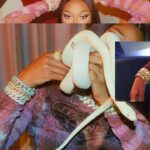 Megan Thee Stallion Instagram - Lets🐍
