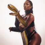 Megan Thee Stallion Instagram - 🐍🐍🐍