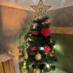 Megha Gupta Instagram - Leaning fully into the festive vibe this year. Living in Goa and witnessing Christmas celebrations to the fullest is such a privilege. This is the third year of me seeing up this Christmas tree.. it reminds me of the times gone by and anchors me for the incoming. I also tried very hard to get the family together for a family picture but clearly did not work 😂 It’s been so beautiful being at home base spending time with my monkeys and working on some exciting things. It’s been very social, the lines between the days are very blurry, and I wouldn’t trade it for anything. Drunk in love Learning in love I wish the same for you and more 💜 Very Merry Christmas to you #christmastree #christmas #family #goa #festive #parties #newyear #