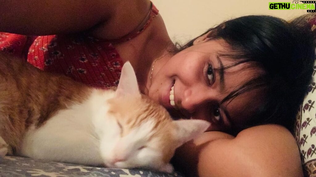 Megha Thomas Instagram - Sunday mornings waking up next to you means world 🐈 @rambo_and_rocky.the_tabby_boys . #cat #catlover #purrfect #sundayfunday