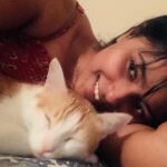 Megha Thomas Instagram - Sunday mornings waking up next to you means world 🐈 @rambo_and_rocky.the_tabby_boys . #cat #catlover #purrfect #sundayfunday