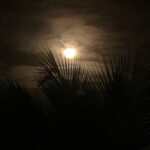 Megha Thomas Instagram - Are you near or far? #moon #afterrain #nearorfar #stillwithme #whereeveryouare #whereeveryougo #still #moonlovers