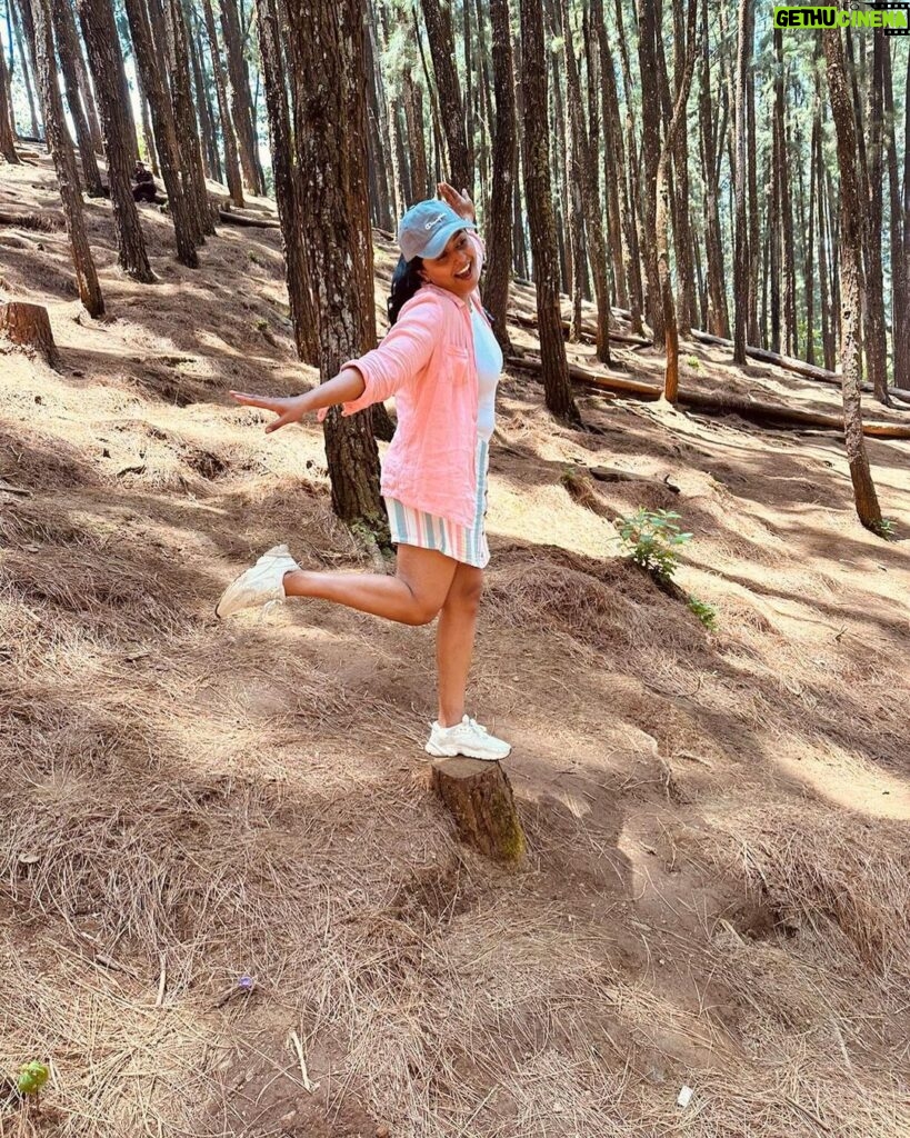 Megha Thomas Instagram - A pine in a forest. 📸- @ronaldrockey #wagamon #pineforest #wonderland #traveller #forest #wonderlust #colours #nocolours Wagamon
