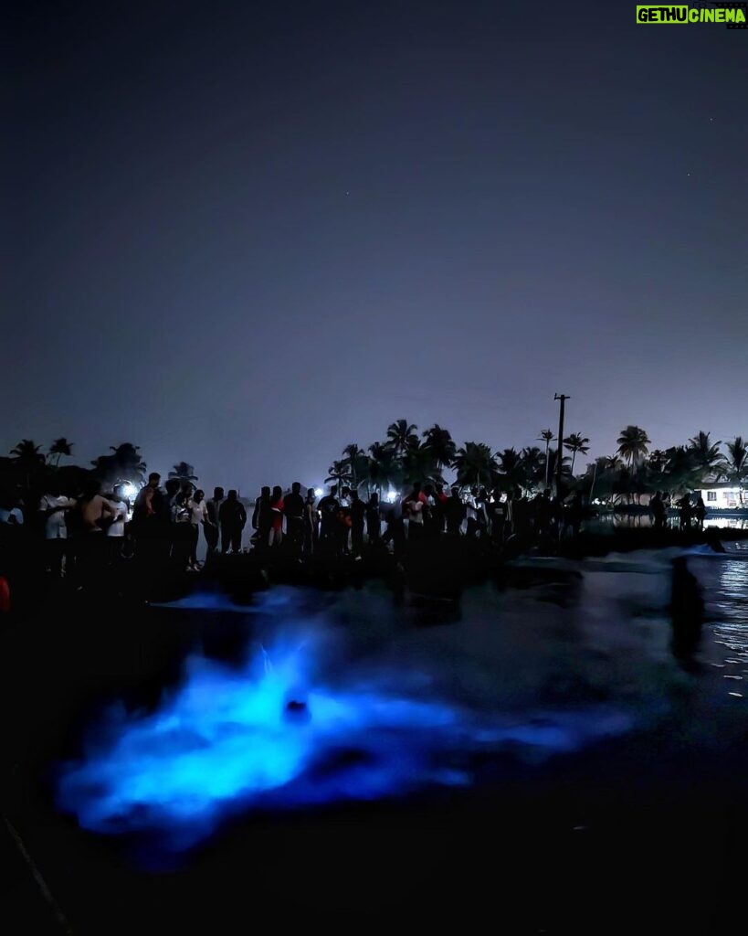 Megha Thomas Instagram - A Kumbalangi Night ✨🪄 #bioluminescence #kochi #kochidiaries #kumbalanginights #kumbalangi #nighttoremember #latenight #longdrive #happy
