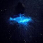 Megha Thomas Instagram - A Kumbalangi Night ✨🪄 #bioluminescence #kochi #kochidiaries #kumbalanginights #kumbalangi #nighttoremember #latenight #longdrive #happy