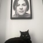 Melis Babadağ Instagram - Kedi