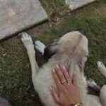 Melis Tüzüngüç Instagram - yalnızca içteki yakındır. başka her şey uzak.