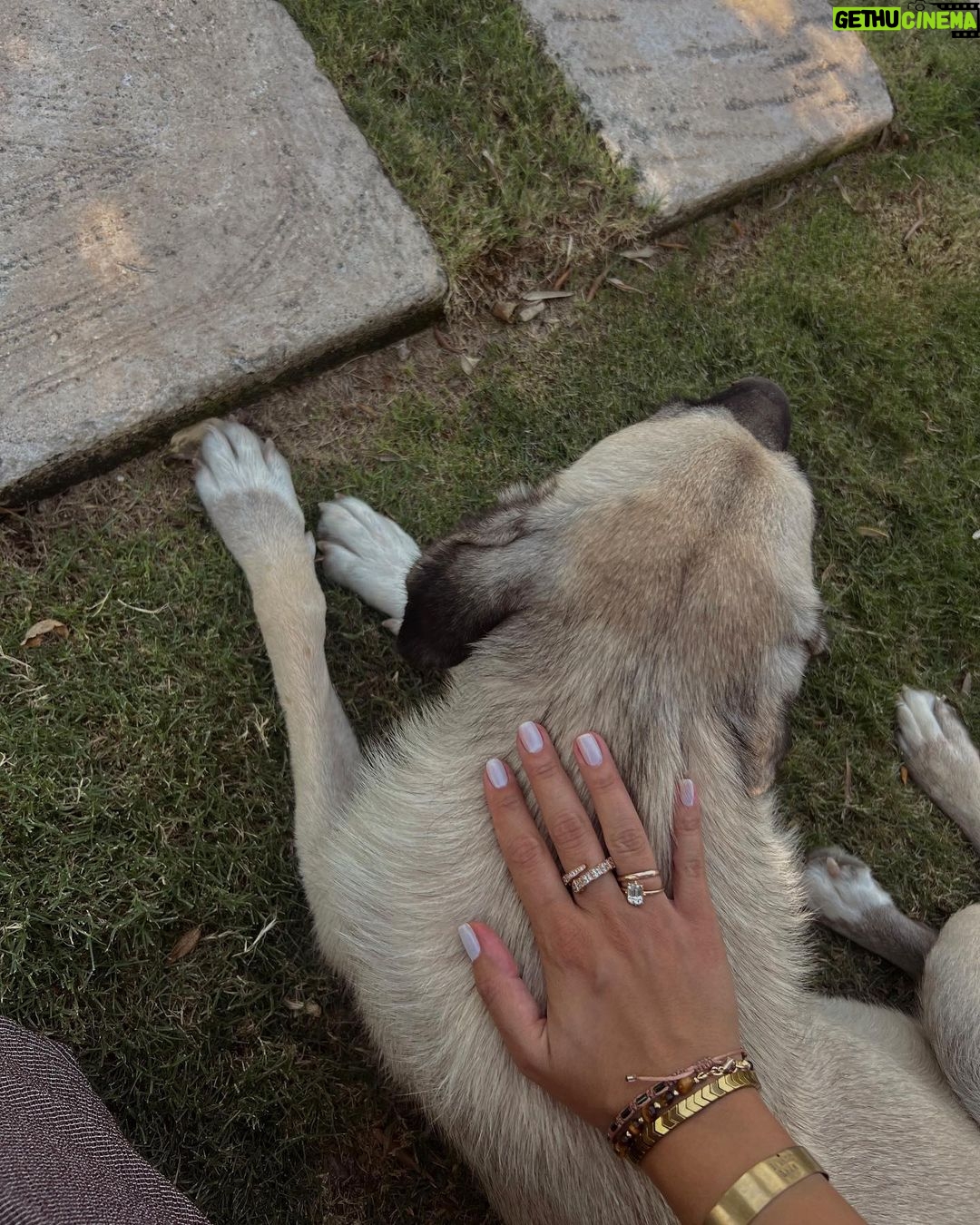 Melis Tüzüngüç Instagram - yalnızca içteki yakındır. başka her şey uzak.