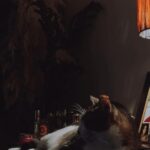 Melis Tüzüngüç Instagram - ne geceler, ne gündüzler gördüm.