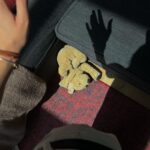 Melis Tüzüngüç Instagram - mumlar sabır olsun, gök yüzü niyeti söylesin. bana kendini hayretle izleten ve yüzümde muhakkak yansımasını taşıdığım her şeyi seviyorum. ve sonra coşmuş sardunyalara anlatıyorum gördüklerimi. iyi ki bakıyorum.