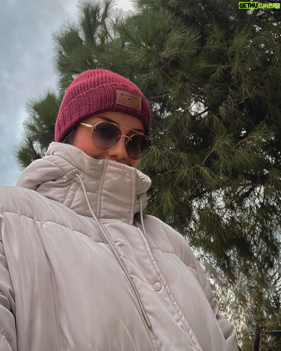Melis Tüzüngüç Instagram - bitmek üzere.
