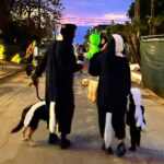 Mena Suvari Instagram – The family that stinks together sticks together. 🖤✨👻🎃🦉💀🦨🦨🦨🦨✨#HappyHalloween 💀