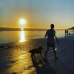 Michael Mealor Instagram - Man’s best friend.