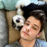 Michael Mealor Instagram - @mishkabernebear aka Big Guy aka Little Bear has been the best thing to happen this ruff 2020... despite the lack of sleep.