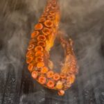 Michael Voltaggio Instagram - You don’t need a silver fork to eat good food. ... Paul Prudhomme blackened octopus in the werks